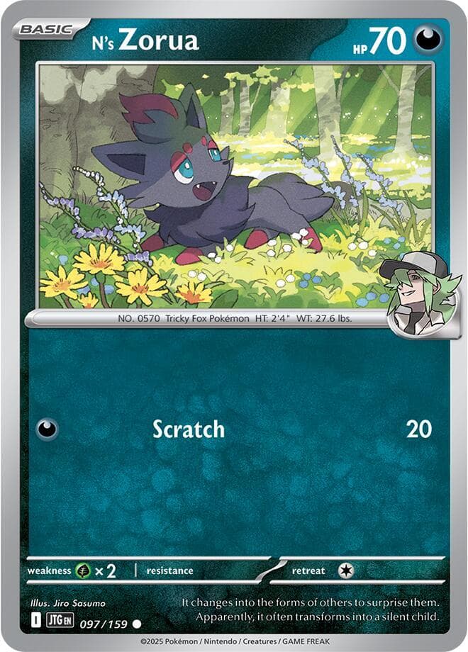 N's Zorua Basic