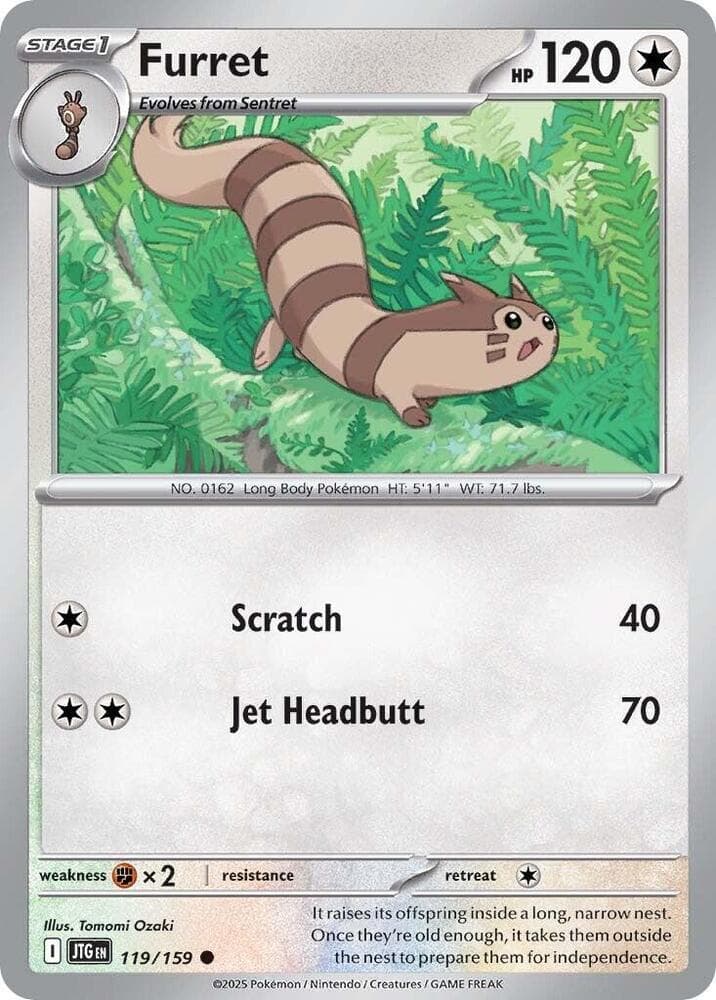 Furret Stage 1