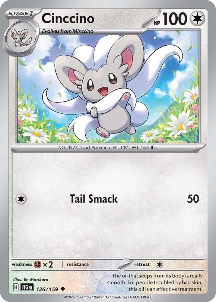 Cinccino Stage 1