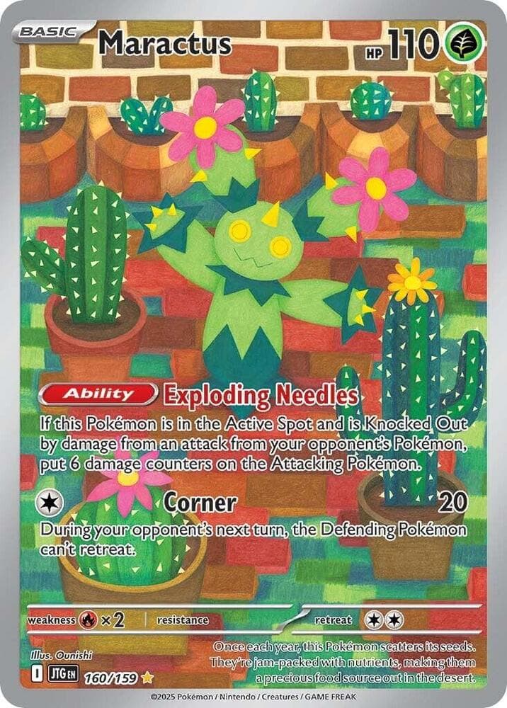 Maractus Basic