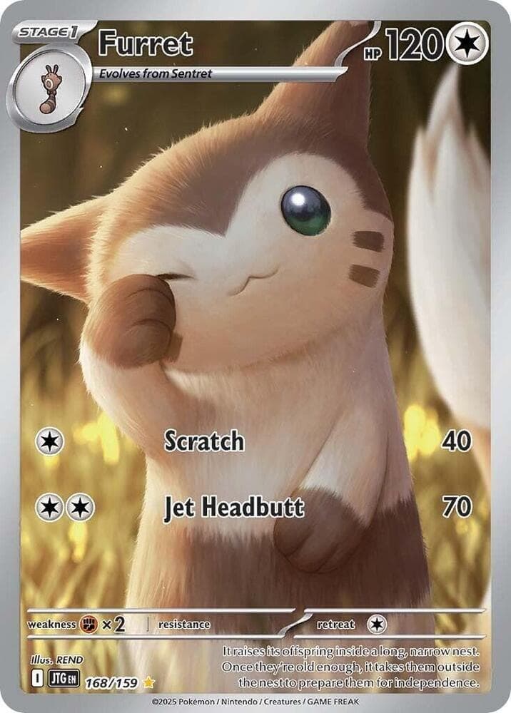 Furret Stage 1