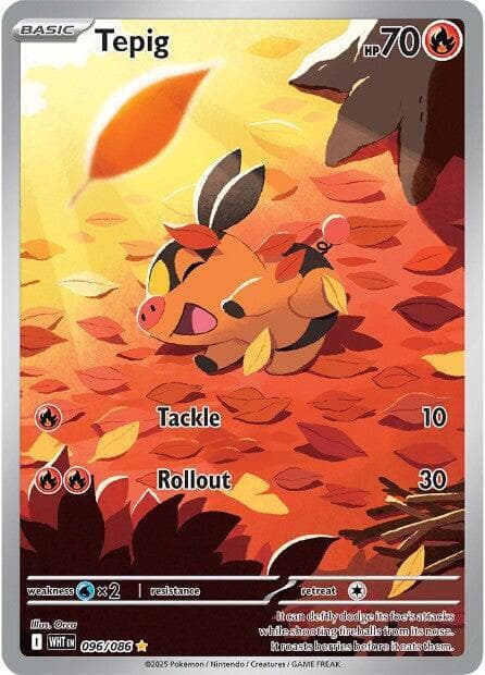 Tepig Basic
