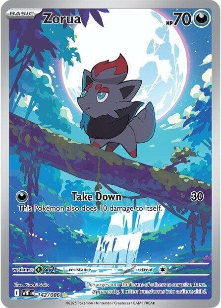 Zorua Basic