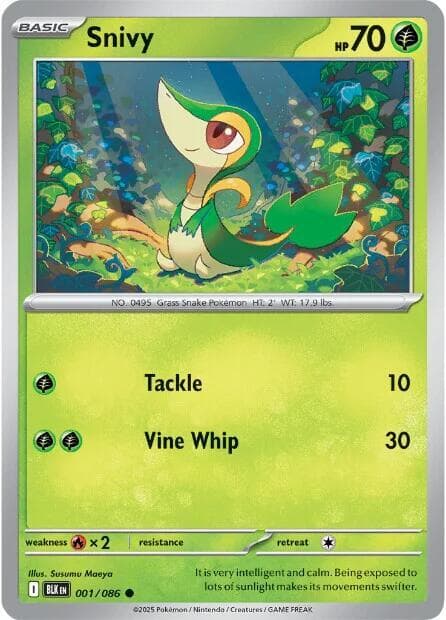 Snivy Basic
