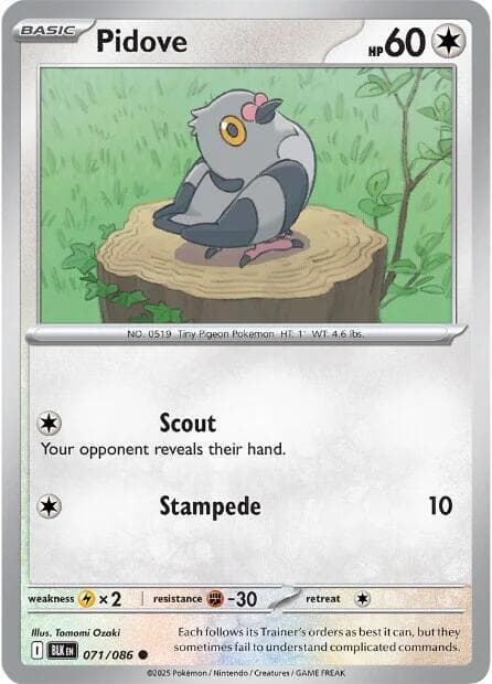 Pidove Basic