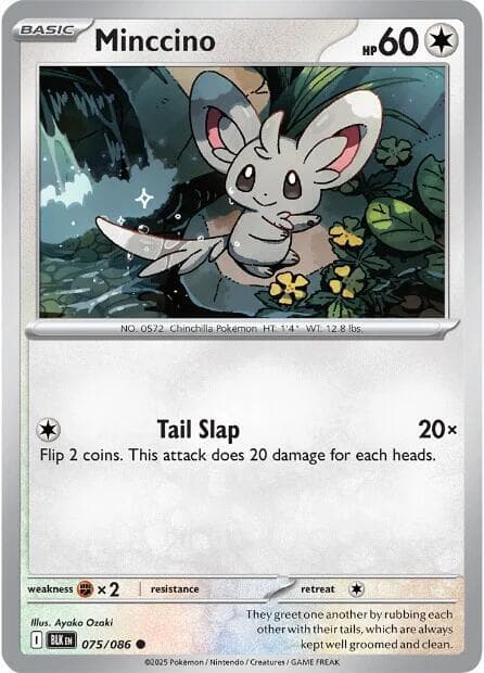 Minccino Basic