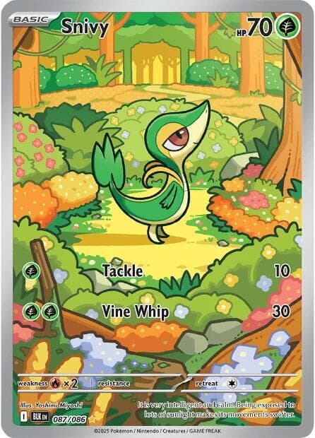 Snivy Basic