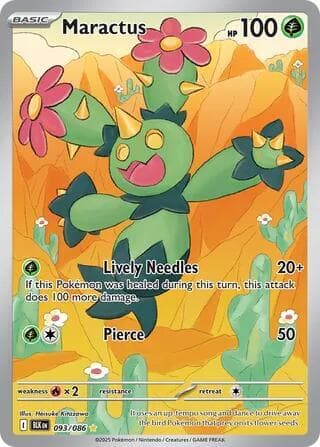 Maractus Basic