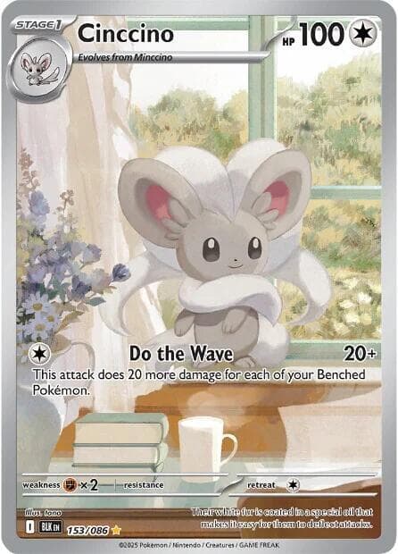 Cinccino Stage 1