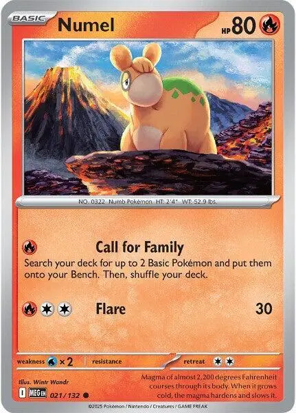 Numel Basic