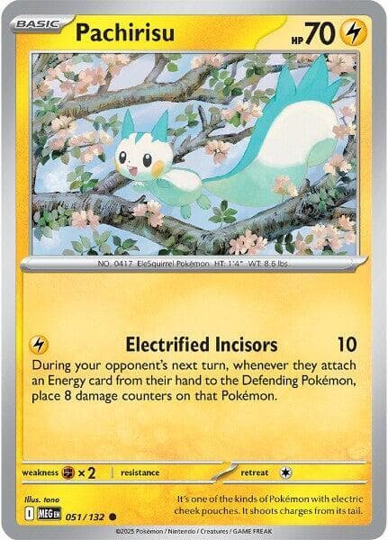 Pachirisu Basic