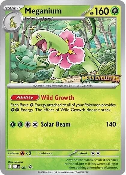Meganium 001 Stage 2