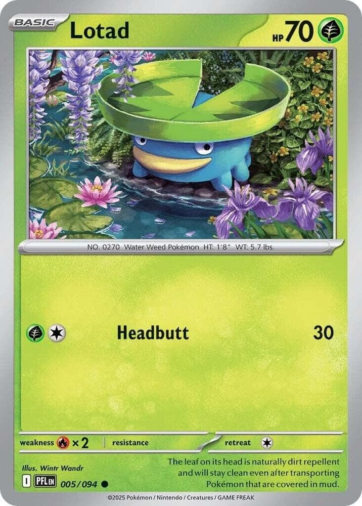Lotad Basic