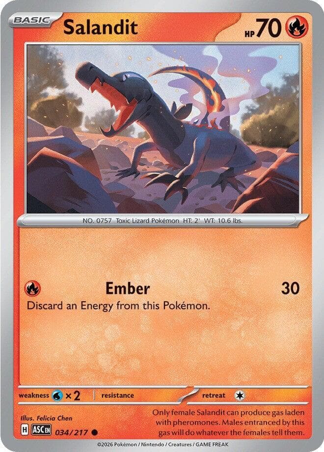 Salandit Basic