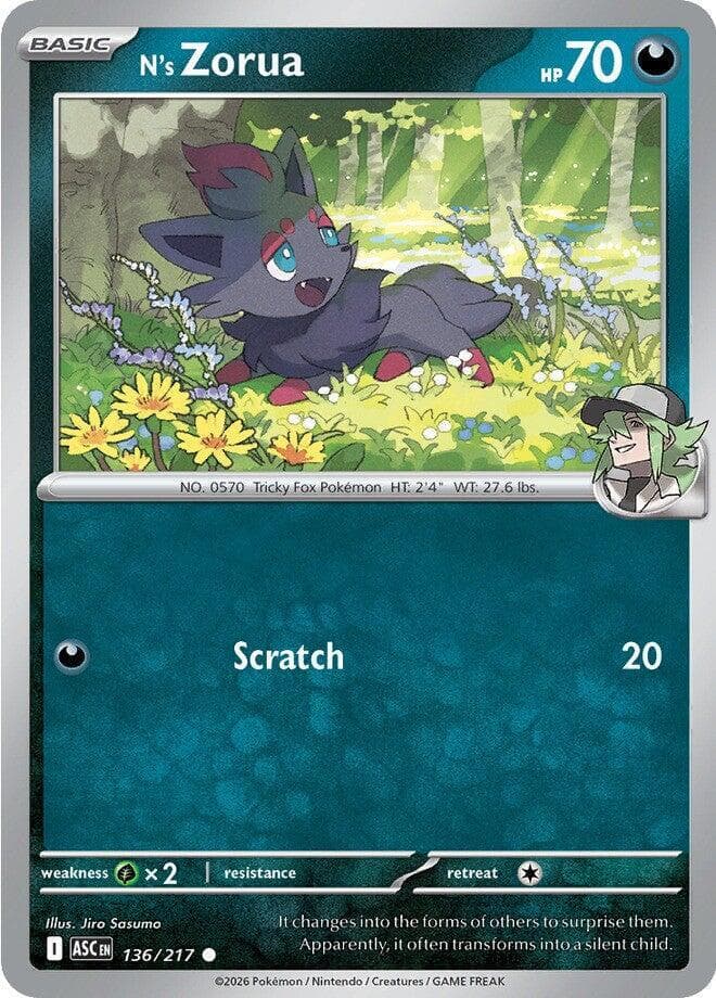 Ns Zorua Basic