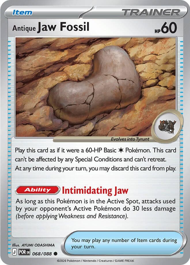 Antique Jaw Fossil Item