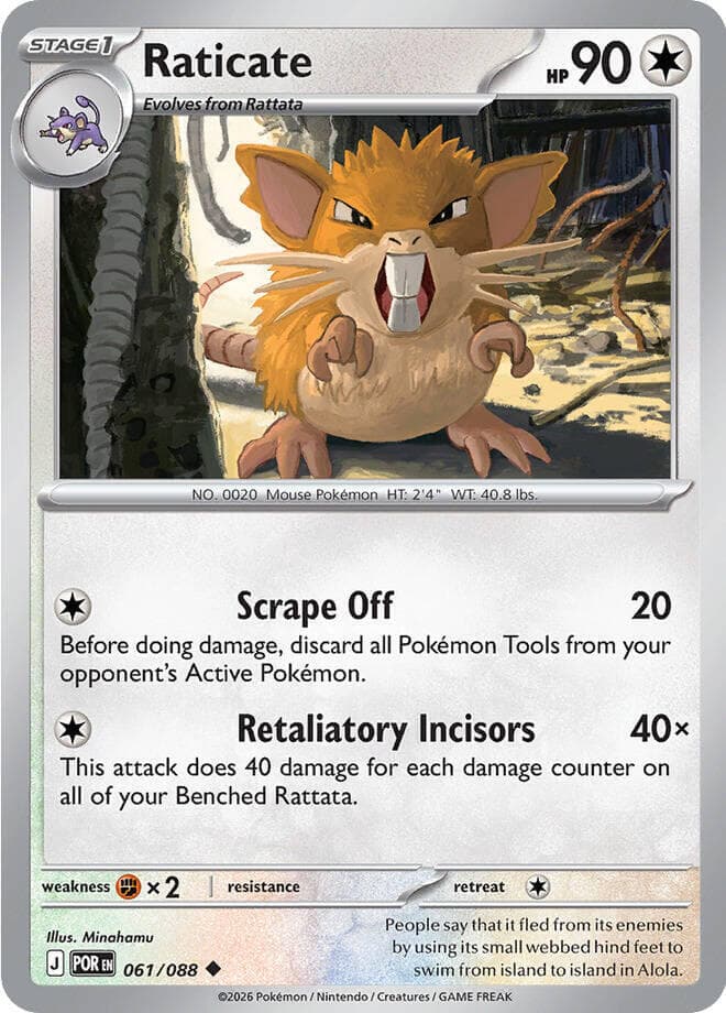 Raticate Stage 1
