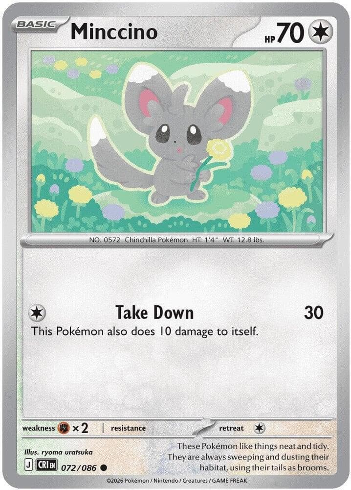 Minccino Basic