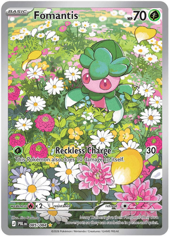 Fomantis Basic