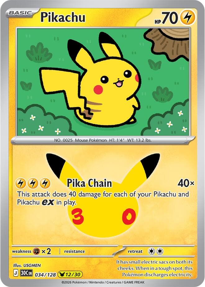 Pikachu Basic