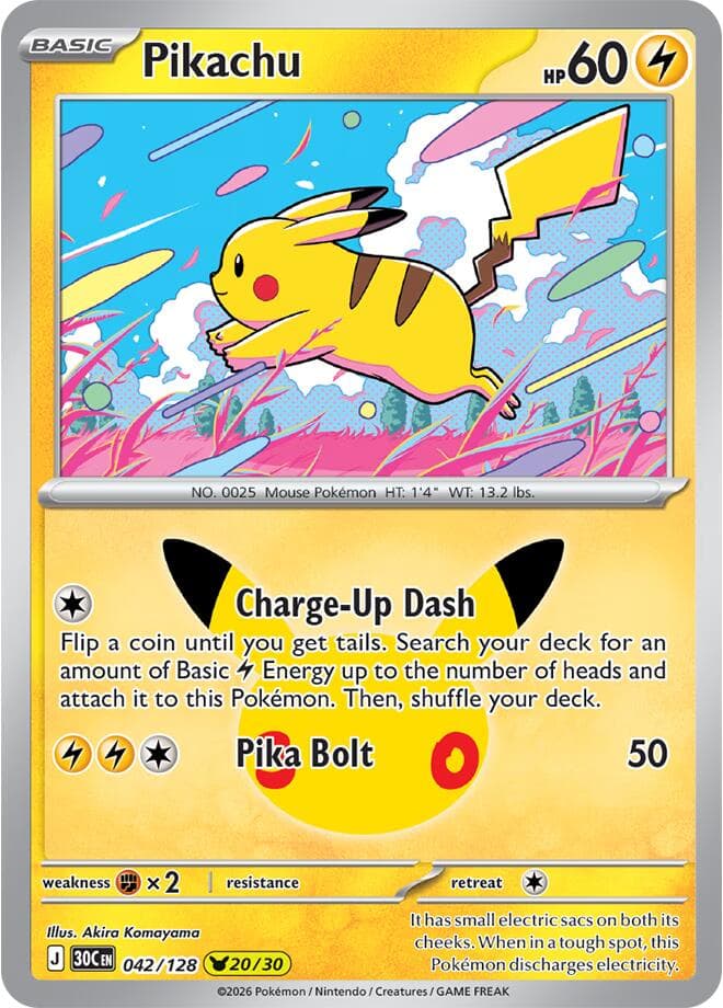 Pikachu Basic