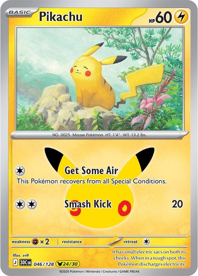 Pikachu Basic