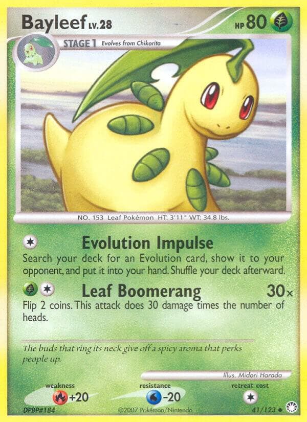 Bayleef Stage 1