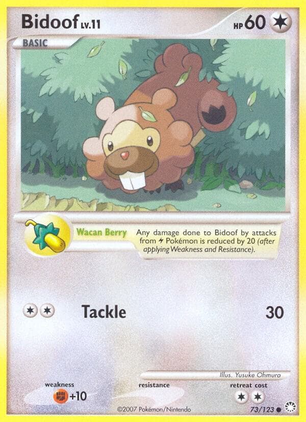 Bidoof Basic