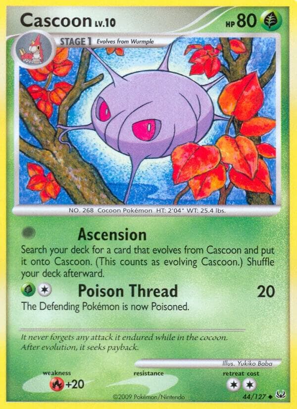 Cascoon Stage 1