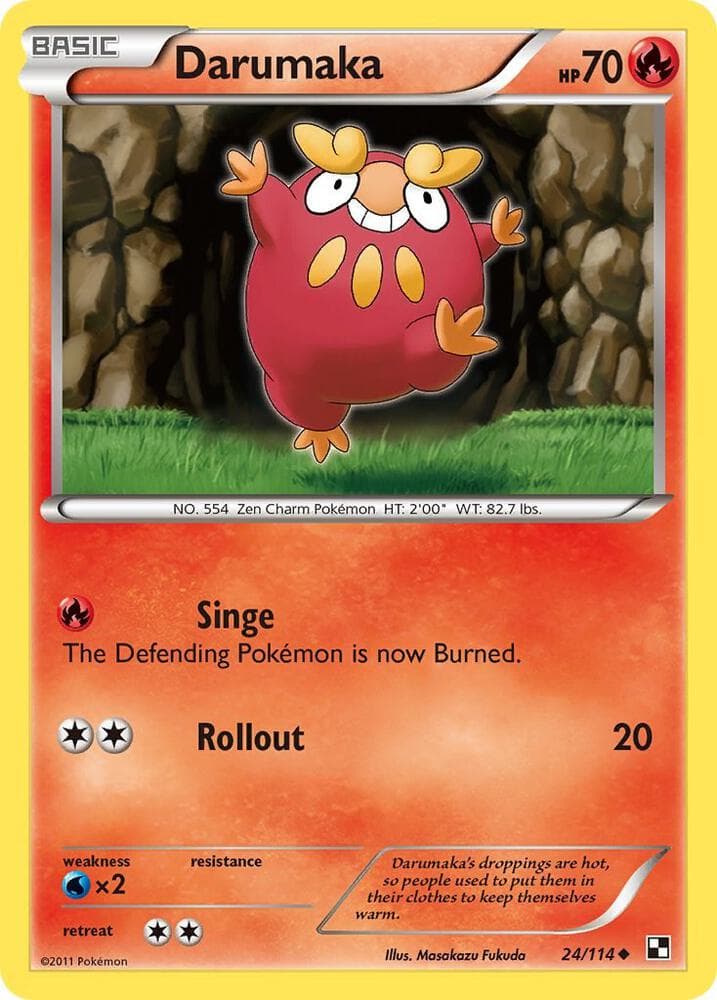 Darumaka 24 Basic