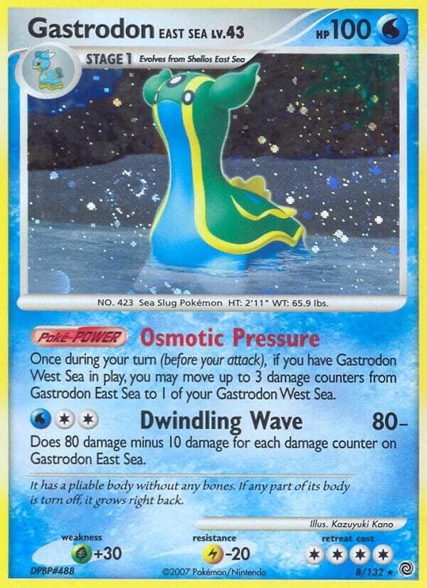 Gastrodon East Sea Stage 1