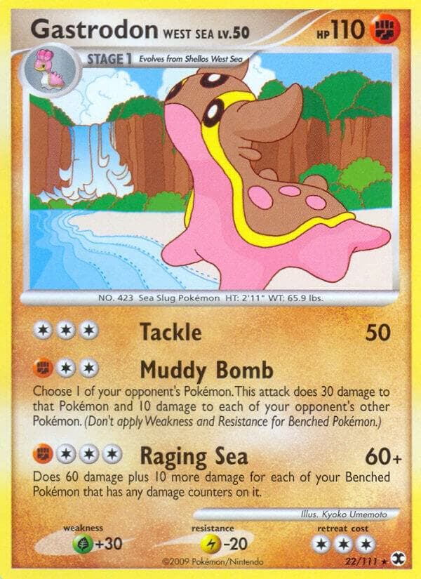 Gastrodon West Sea Stage 1