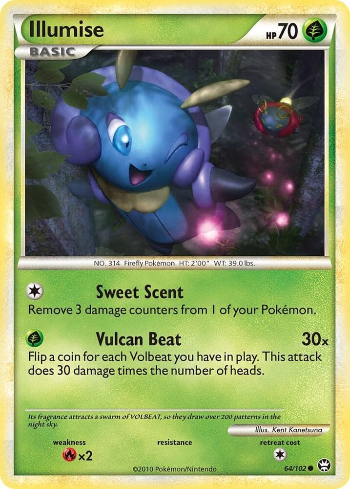 Illumise Basic