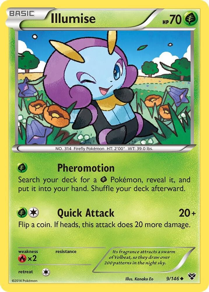 Illumise Basic