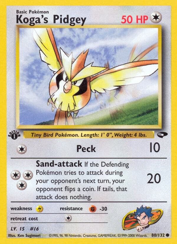 Koga's Pidgey Basic