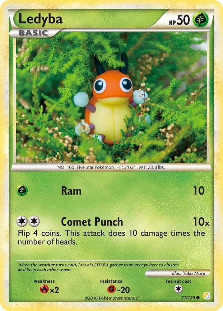 Ledyba Basic
