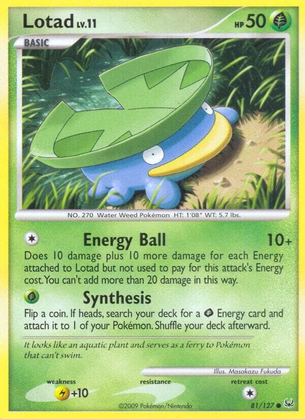 Lotad Basic