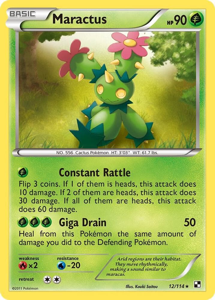 Maractus 12 Basic