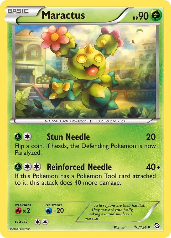 Maractus Basic