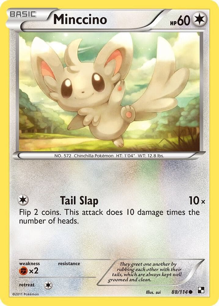 Minccino Basic