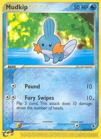Mudkip Basic