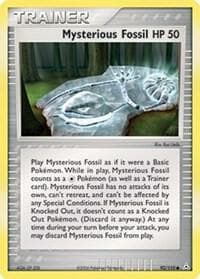 Mysterious Fossil Item