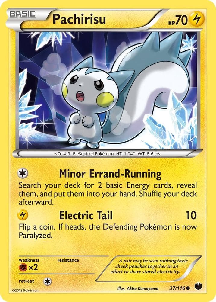 Pachirisu Basic