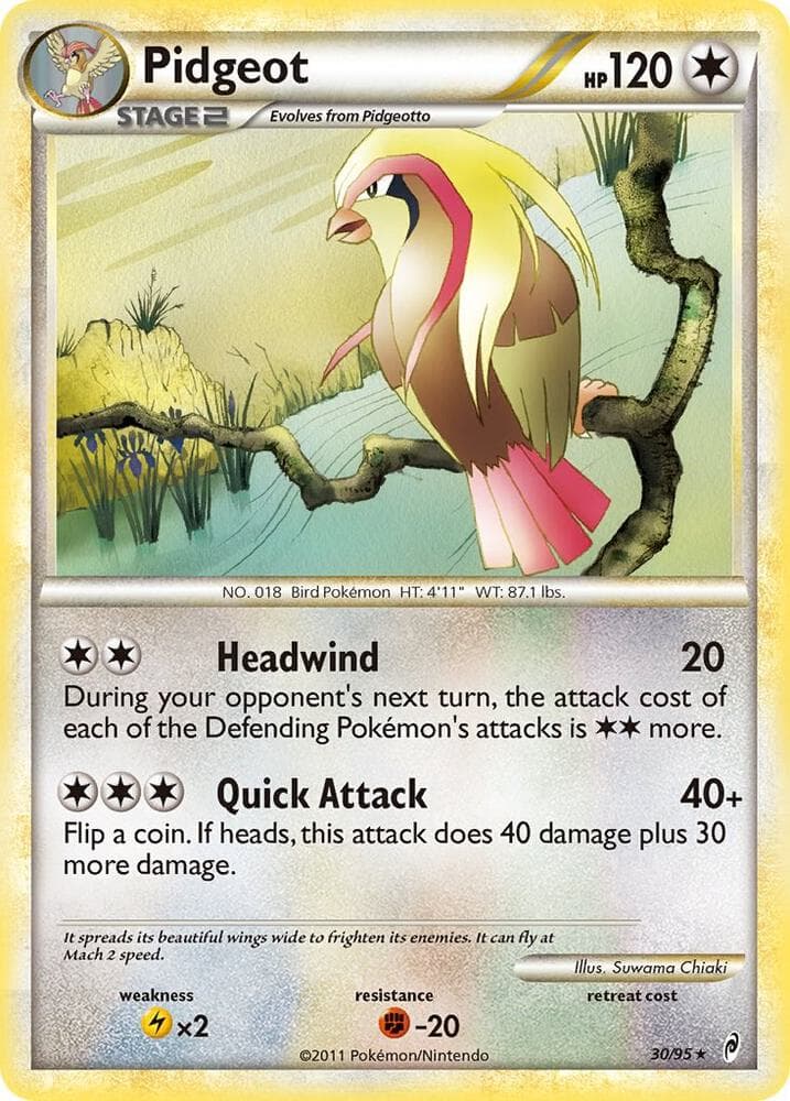 Pidgeot Stage 2