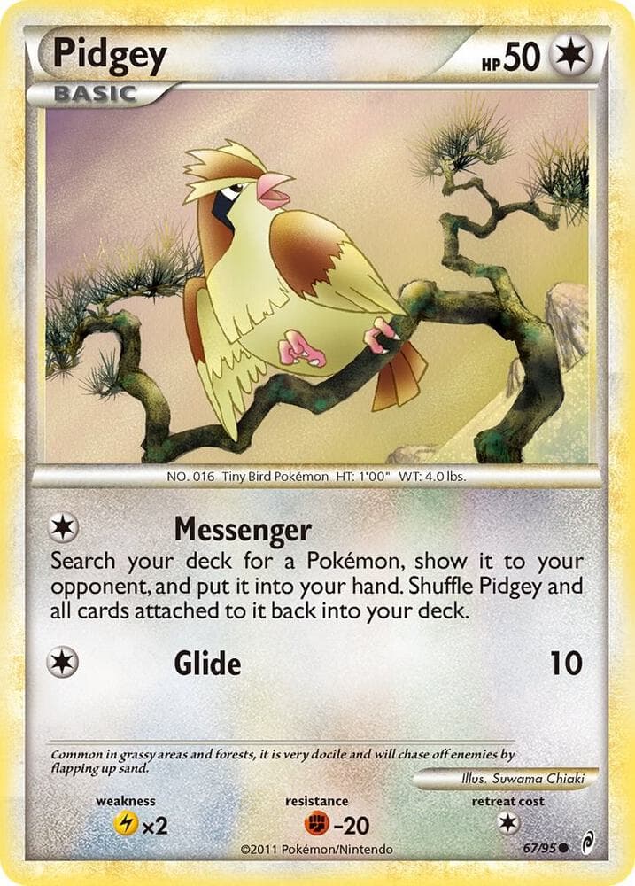 Pidgey Basic