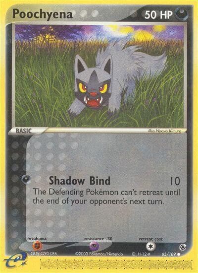 Poochyena Basic