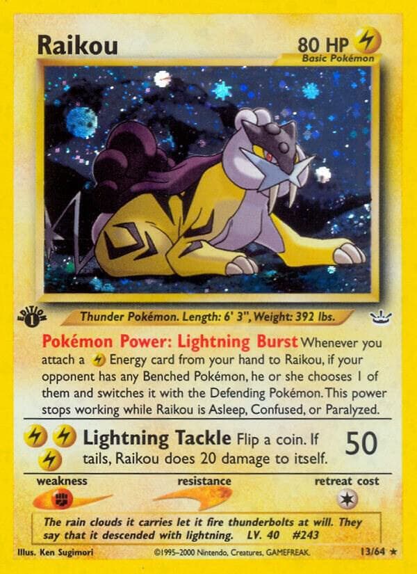 Raikou 13 Basic