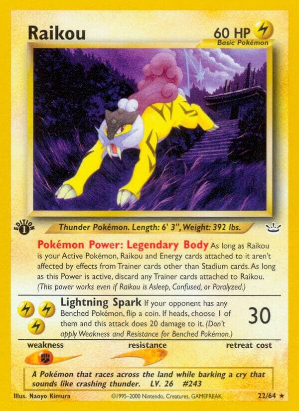 Raikou 22 Basic