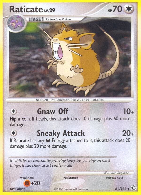 Raticate Stage 1
