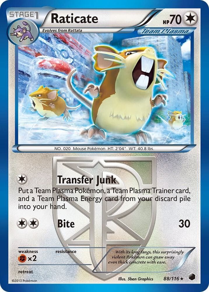 Raticate Team Plasma Stage 1